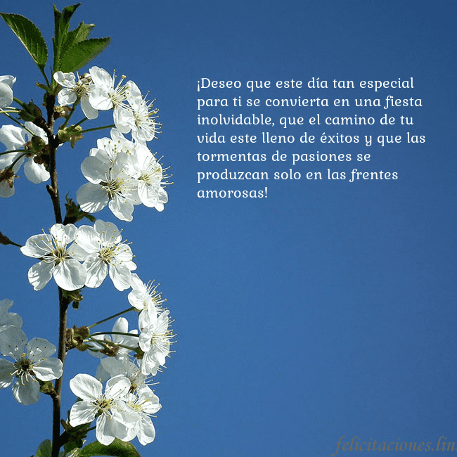 Tarjeta de cumpleaños con flores de primavera ¡Deseo que este día tan especial para ti se convie Tarjeta de cumpleaños con flores de primavera