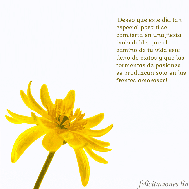 Tarjeta de cumpleaños con flor amarilla ¡Deseo que este día tan especial para ti se convie Tarjeta de cumpleaños con flor amarilla