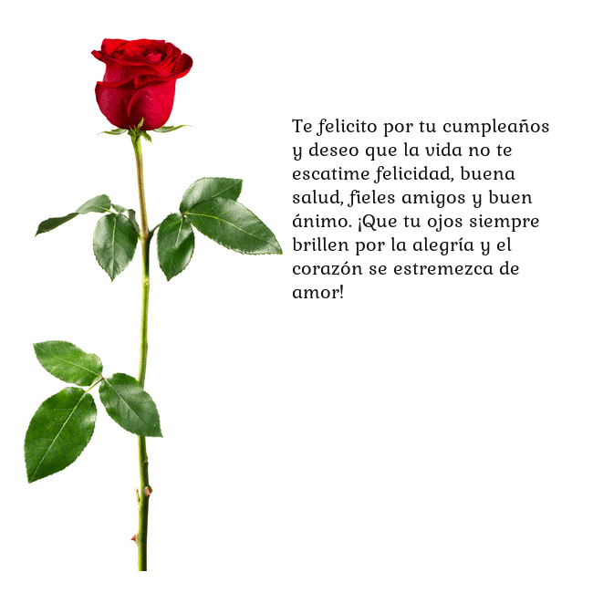 Tarjeta con una rosa roja