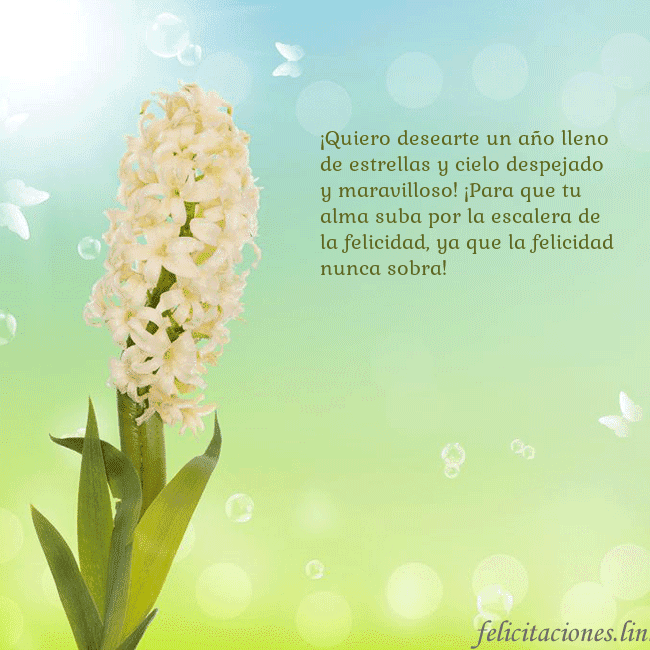 Tarjeta con jacinto ¡Quiero desearte un año lleno de estrellas y cielo Tarjeta con jacinto