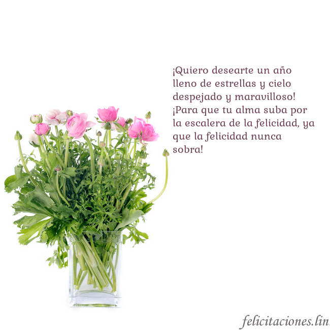 Tarjeta con flores en un jarrón ¡Quiero desearte un año lleno de estrellas y cielo Tarjeta con flores en un jarrón