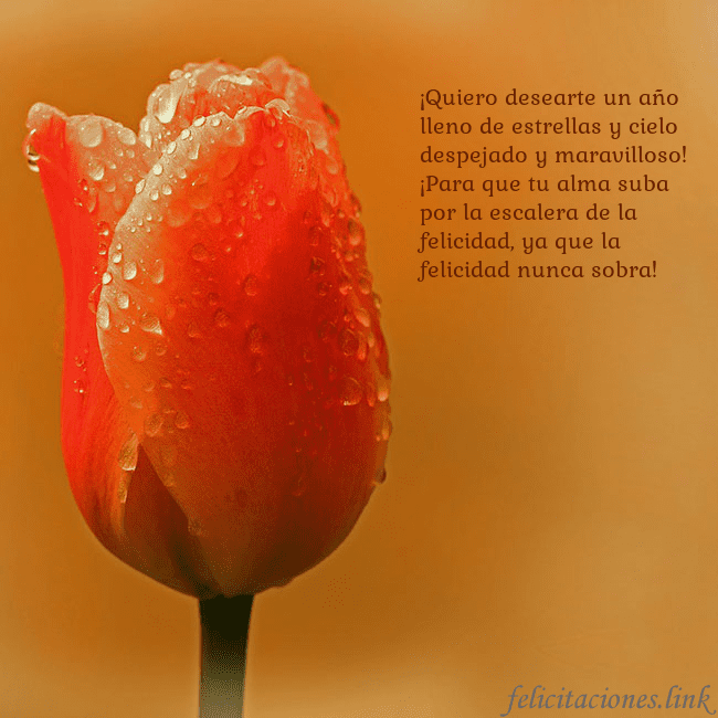 Tarjeta de cumpleaños con tulipán rojo ¡Quiero desearte un año lleno de estrellas y cielo Tarjeta de cumpleaños con tulipán rojo