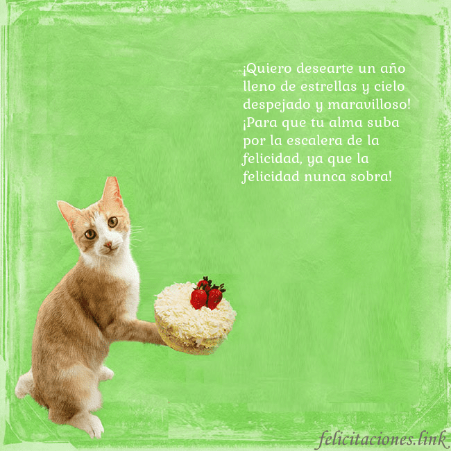 Tarjeta de cumpleaños con gato y pastel de cumpleaños