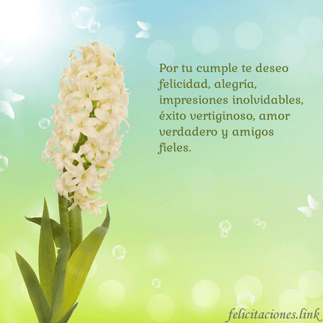 Tarjeta con jacinto Por tu cumple te deseo felicidad, alegría, impresi Tarjeta con jacinto