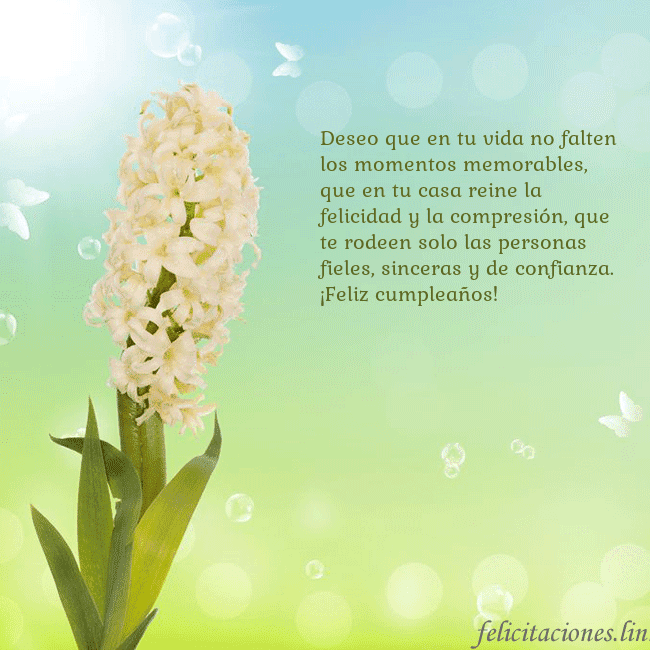 Tarjeta con jacinto Deseo que en tu vida no falten los momentos memora Tarjeta con jacinto