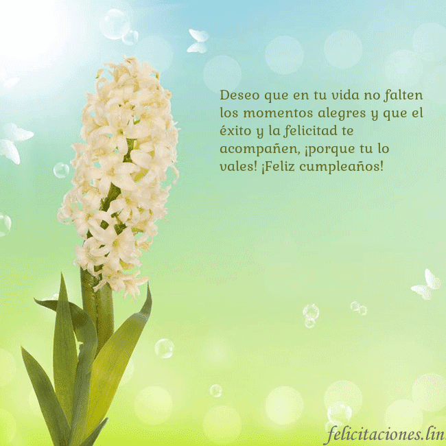 Tarjeta con jacinto Deseo que en tu vida no falten los momentos alegre Tarjeta con jacinto