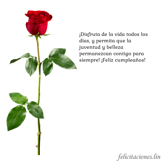 Tarjeta con una rosa roja