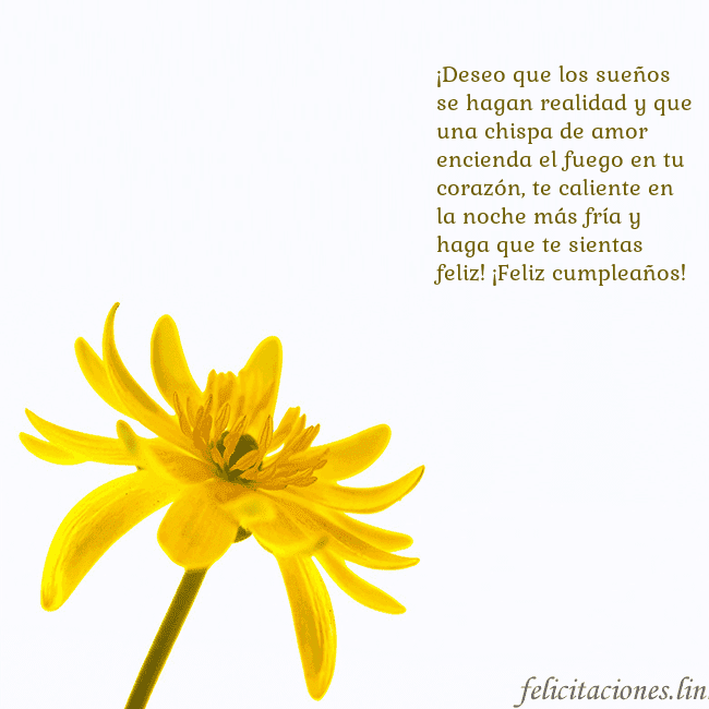 Tarjeta de cumpleaños con flor amarilla
