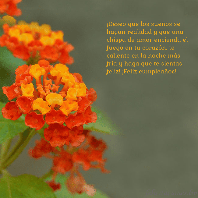 Tarjeta de cumpleaños con flores naranjas ¡Deseo que los sueños se hagan realidad y que una Tarjeta de cumpleaños con flores naranjas