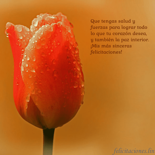 Tarjeta de cumpleaños con tulipán rojo Que tengas salud y fuerzas para lograr todo lo que Tarjeta de cumpleaños con tulipán rojo
