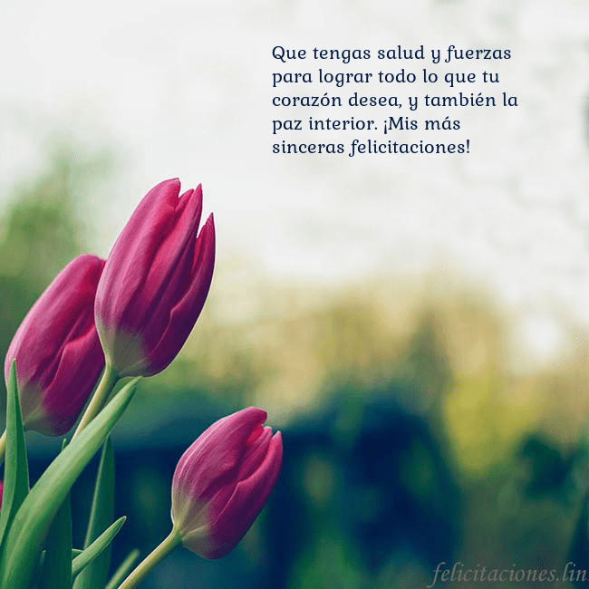 Tarjeta de cumpleaños con tres tulipanes rojos Que tengas salud y fuerzas para lograr todo lo que Tarjeta de cumpleaños con tres tulipanes rojos