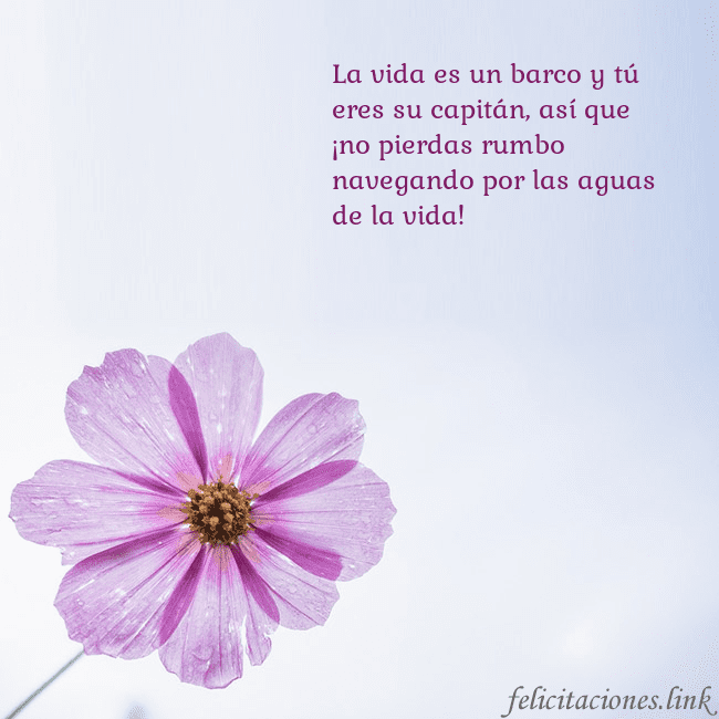 Tarjeta electrónica con flor morada