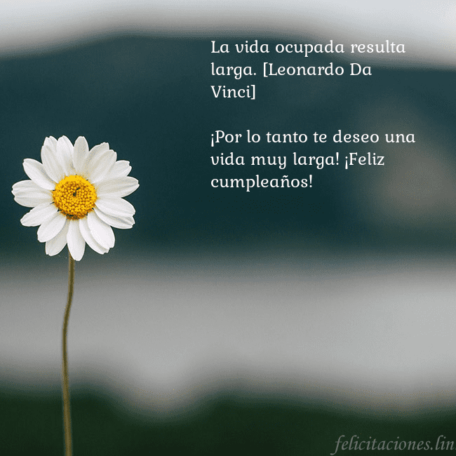 Tarjeta electrónica con margarita