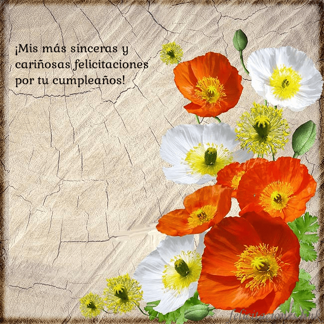 Tarjeta de cumpleaños con amapolas