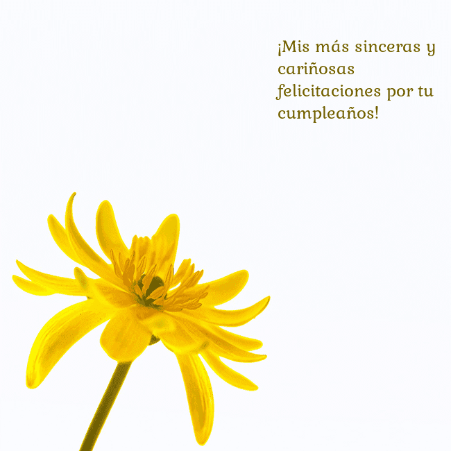 Tarjeta de cumpleaños con flor amarilla