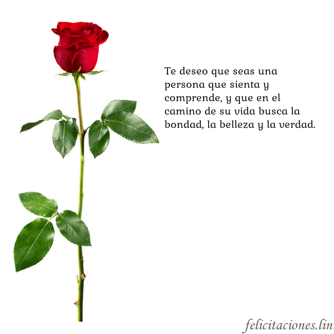 Tarjeta con una rosa roja Te deseo que seas una persona que sienta y compren Tarjeta con una rosa roja