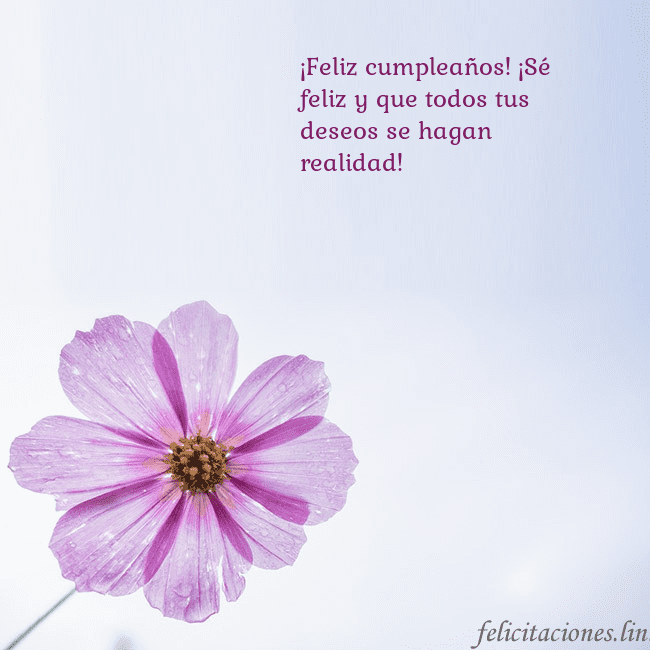 Tarjeta electrónica con flor morada