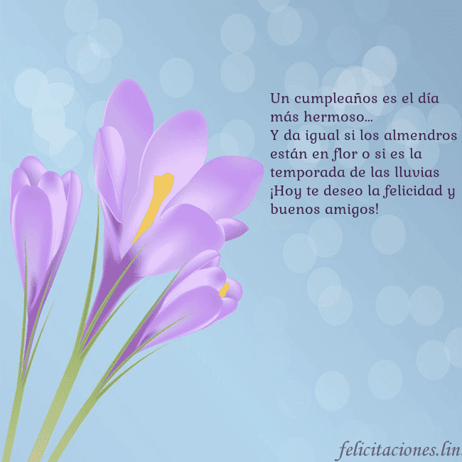 Tarjeta con crocus