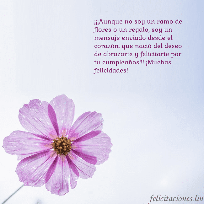 Tarjeta electrónica con flor morada