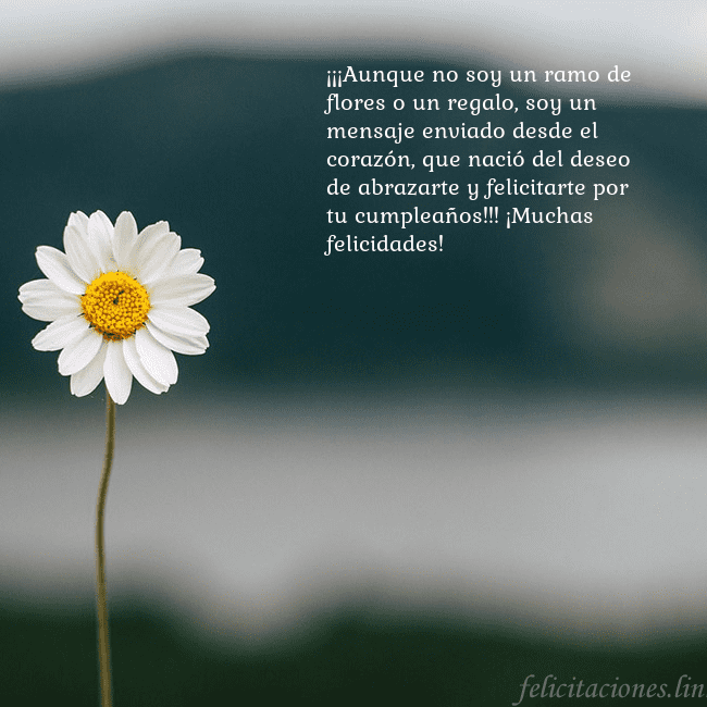 Tarjeta electrónica con margarita