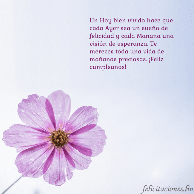 Tarjeta electrónica con flor morada Un Hoy bien vivido hace que cada Ayer sea un sueño Tarjeta electrónica con flor morada