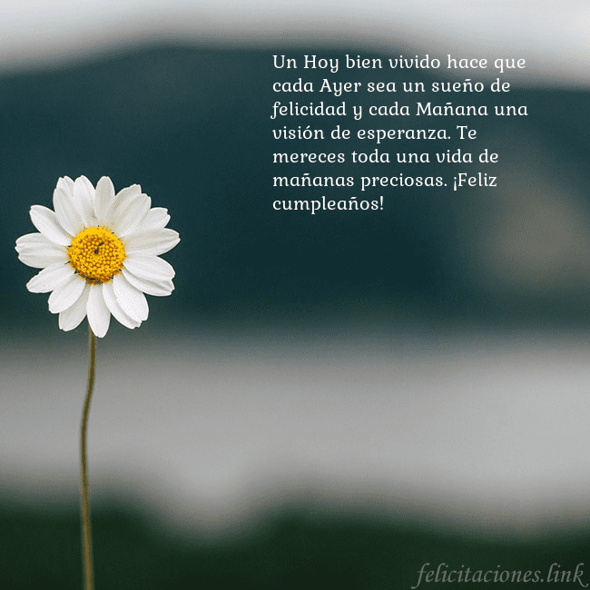 Tarjeta electrónica con margarita