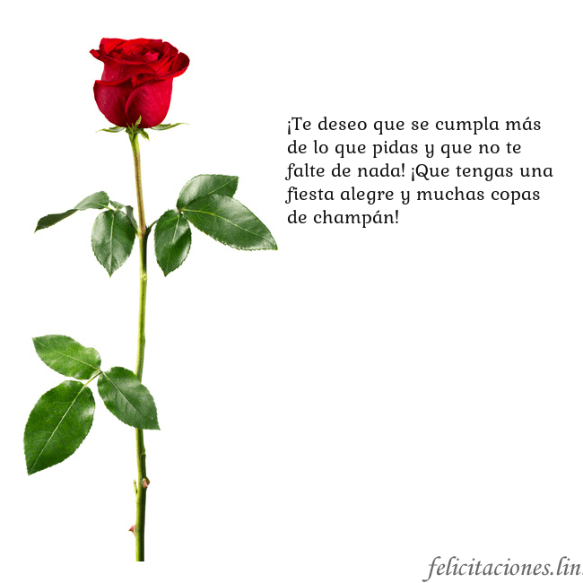 Tarjeta con una rosa roja