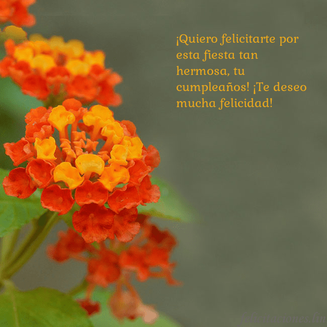Tarjeta de cumpleaños con flores naranjas