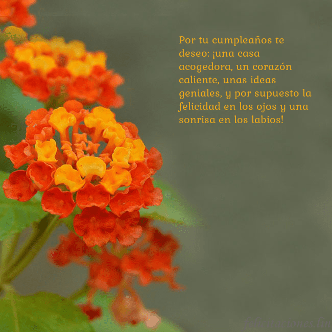 Tarjeta de cumpleaños con flores naranjas Por tu cumpleaños te deseo: ¡una casa acogedora, u Tarjeta de cumpleaños con flores naranjas