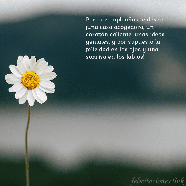 Tarjeta electrónica con margarita