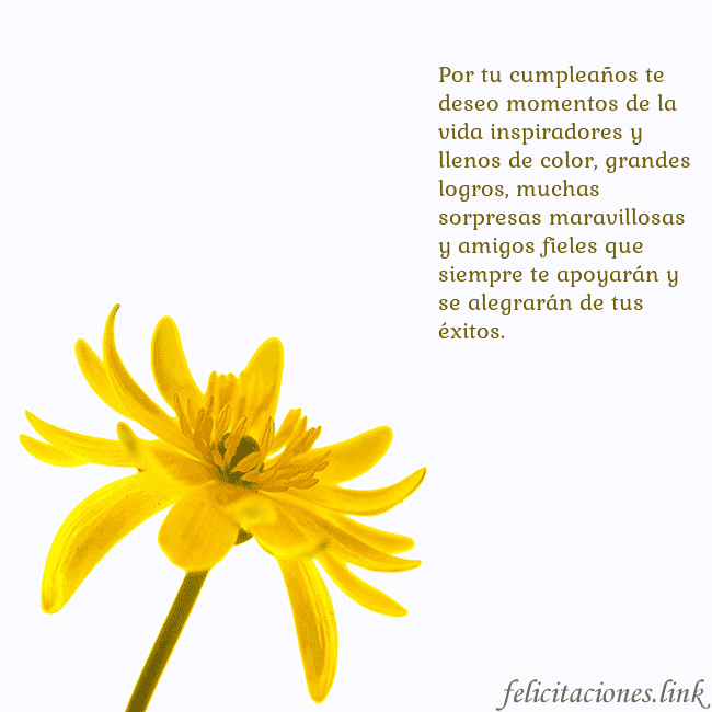 Tarjeta de cumpleaños con flor amarilla Por tu cumpleaños te deseo momentos de la vida ins Tarjeta de cumpleaños con flor amarilla