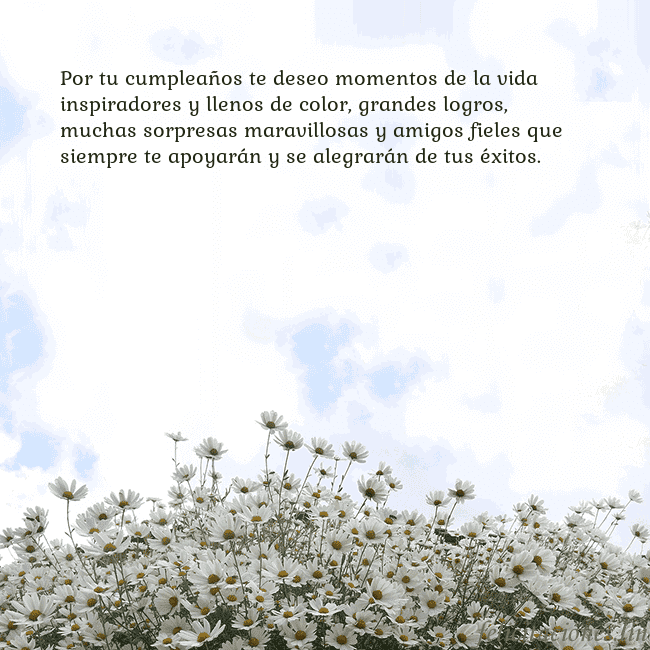 Tarjeta de cumpleaños con margaritas Por tu cumpleaños te deseo momentos de la vida ins Tarjeta de cumpleaños con margaritas
