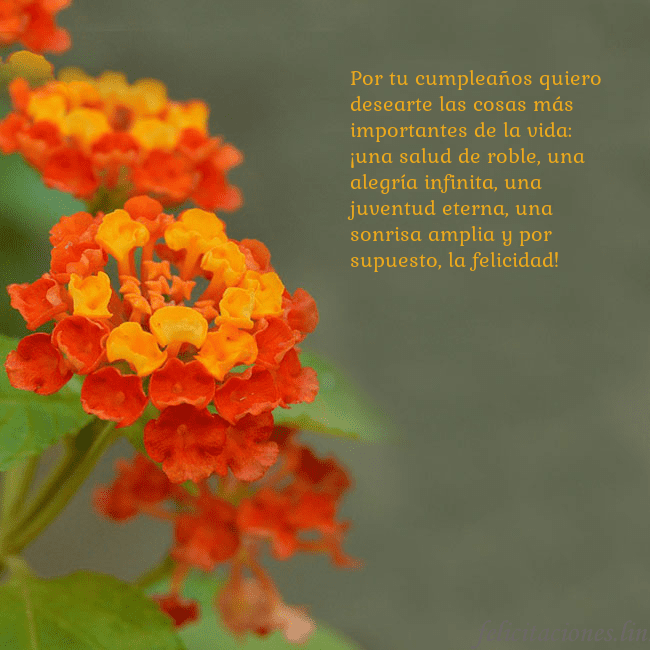 Tarjeta de cumpleaños con flores naranjas Por tu cumpleaños quiero desearte las cosas más im Tarjeta de cumpleaños con flores naranjas
