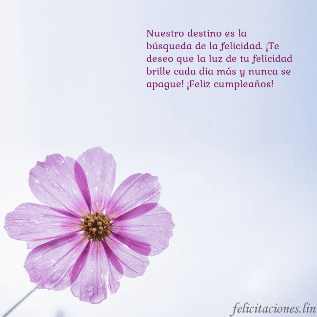 Tarjeta electrónica con flor morada Nuestro destino es la búsqueda de la felicidad. ¡T Tarjeta electrónica con flor morada