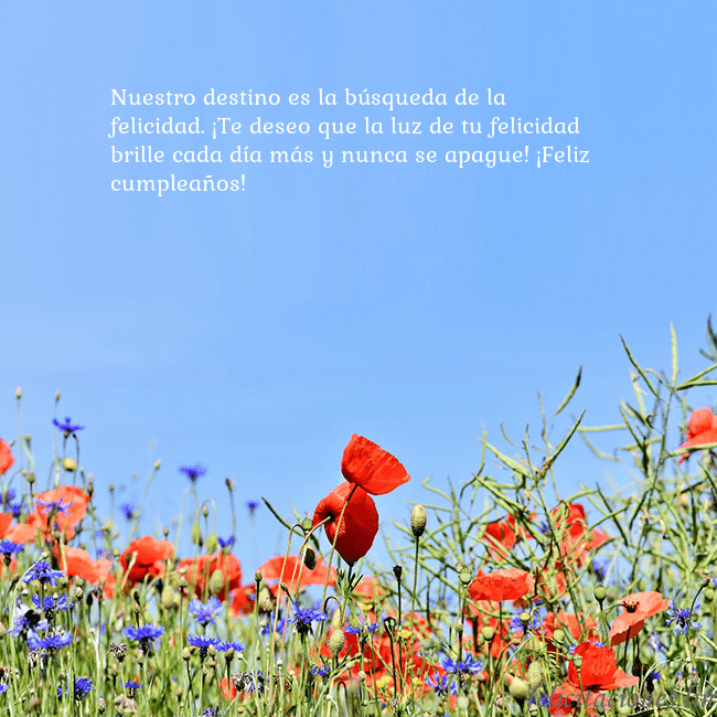 Gimtadienio atvirukas su aguonomis Nuestro destino es la búsqueda de la felicidad. ¡T Gimtadienio atvirukas su aguonomis