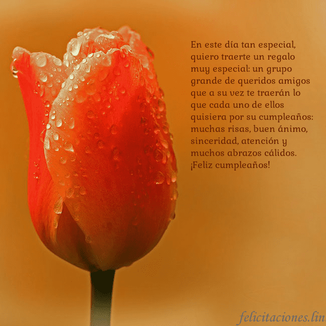 Tarjeta de cumpleaños con tulipán rojo En este día tan especial, quiero traerte un regalo Tarjeta de cumpleaños con tulipán rojo