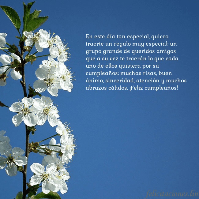 Tarjeta de cumpleaños con flores de primavera En este día tan especial, quiero traerte un regalo Tarjeta de cumpleaños con flores de primavera