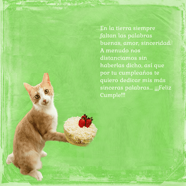 Tarjeta de cumpleaños con gato y pastel de cumpleaños En la tierra siempre faltan las palabras buenas, a Tarjeta de cumpleaños con gato y pastel de cumpleaños