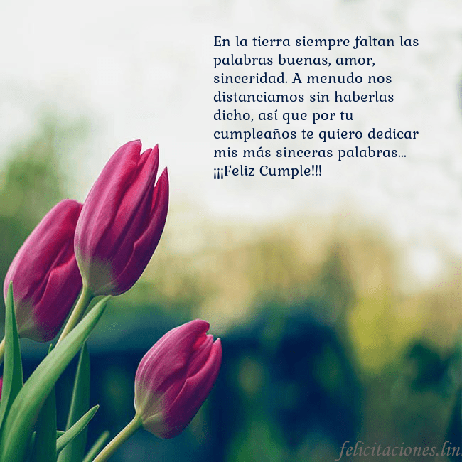 Tarjeta de cumpleaños con tres tulipanes rojos