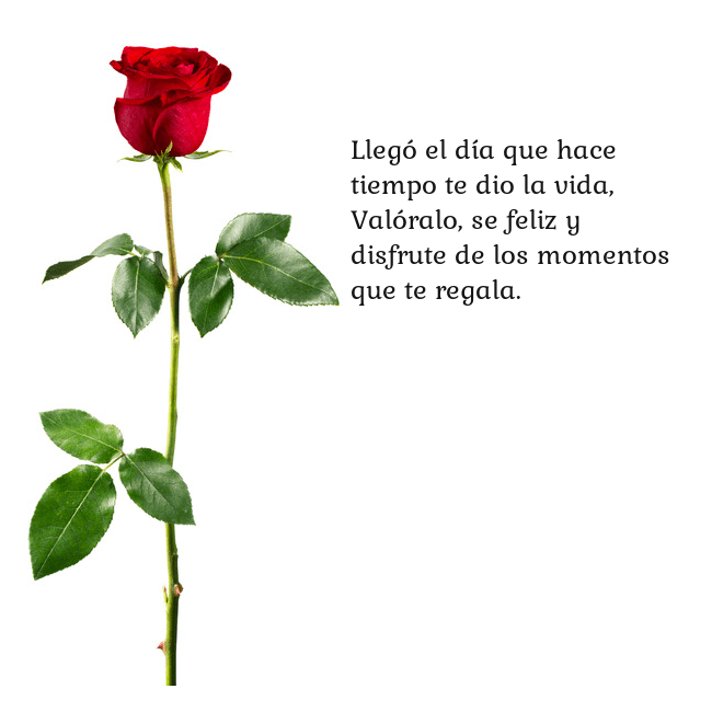 Tarjeta con una rosa roja