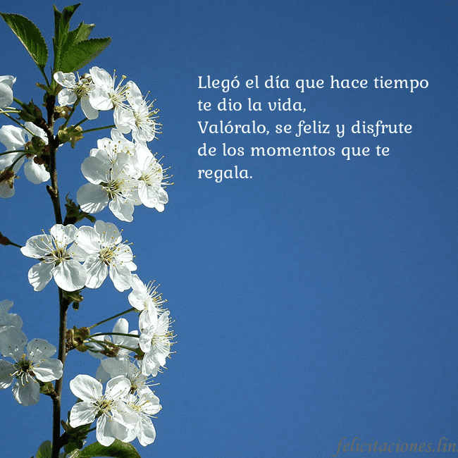 Tarjeta de cumpleaños con flores de primavera Llegó el día que hace tiempo te dio la vida,
Való Tarjeta de cumpleaños con flores de primavera