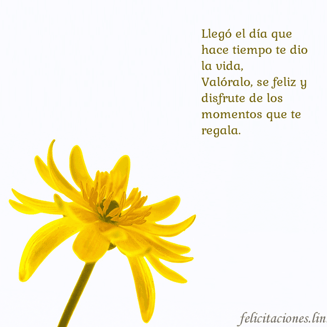 Tarjeta de cumpleaños con flor amarilla Llegó el día que hace tiempo te dio la vida,
Való Tarjeta de cumpleaños con flor amarilla