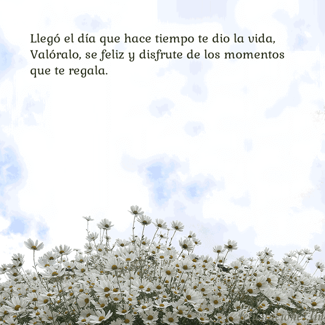 Tarjeta de cumpleaños con margaritas Llegó el día que hace tiempo te dio la vida,
Való Tarjeta de cumpleaños con margaritas