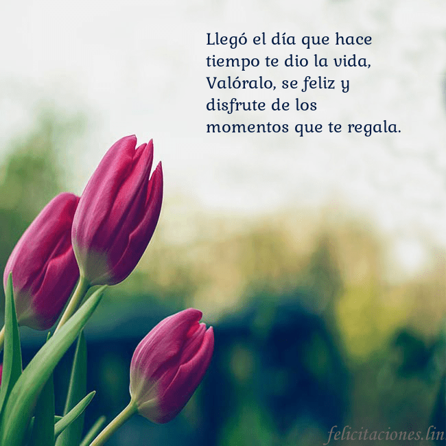 Tarjeta de cumpleaños con tres tulipanes rojos Llegó el día que hace tiempo te dio la vida,
Való Tarjeta de cumpleaños con tres tulipanes rojos
