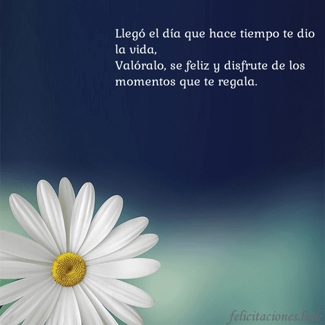 Postal con una gran margarita