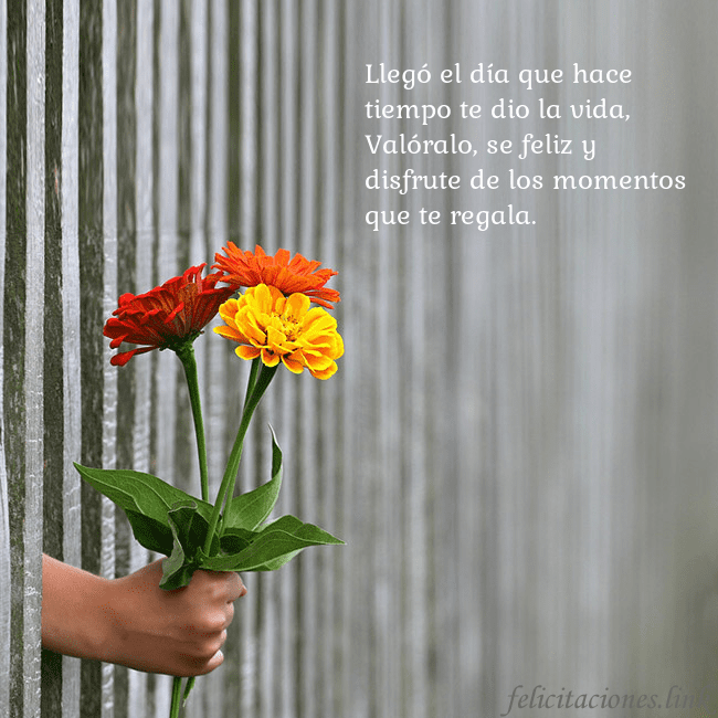 Tarjeta electrónica con ramo de flores Llegó el día que hace tiempo te dio la vida,
Való Tarjeta electrónica con ramo de flores