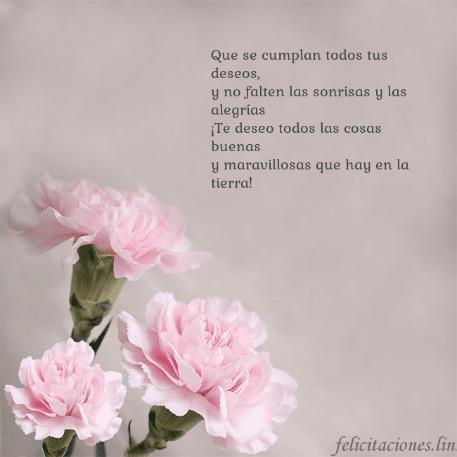 Tarjeta de cumpleaños con claveles rosas Que se cumplan todos tus deseos,
y no falten las s Tarjeta de cumpleaños con claveles rosas