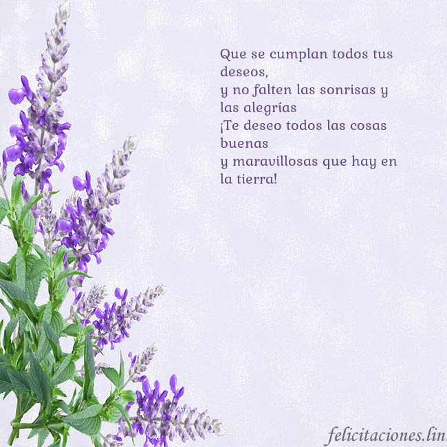 Tarjeta de cumpleaños con altramuces azules Que se cumplan todos tus deseos,
y no falten las s Tarjeta de cumpleaños con altramuces azules