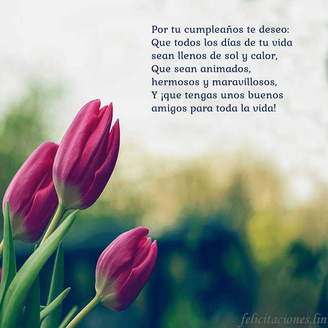 Tarjeta de cumpleaños con tres tulipanes rojos Por tu cumpleaños te deseo:
Que todos los días de Tarjeta de cumpleaños con tres tulipanes rojos