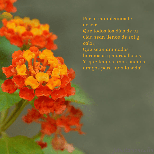 Tarjeta de cumpleaños con flores naranjas Por tu cumpleaños te deseo:
Que todos los días de Tarjeta de cumpleaños con flores naranjas